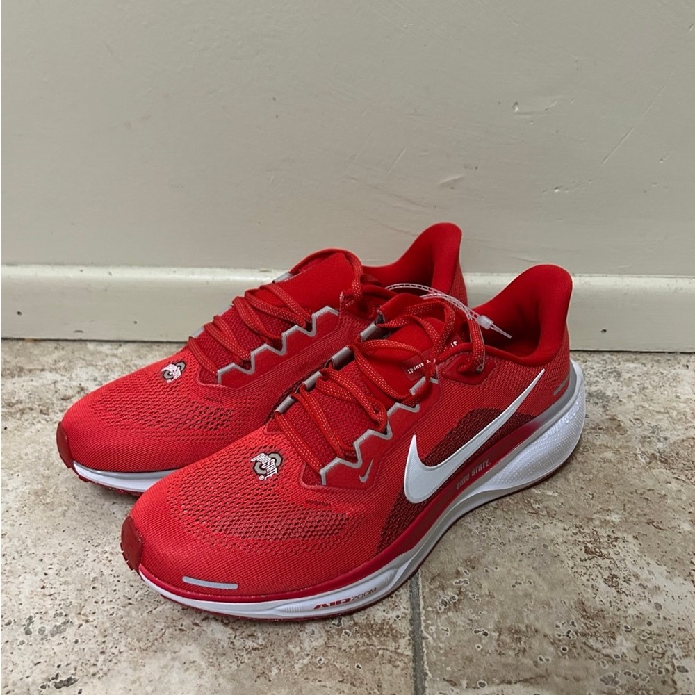 Nike Air Zoom Pegasus 41 Ohio State (FZ5135-600) - Picture 1 of 4